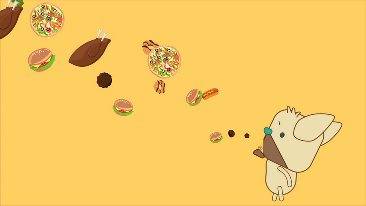 喵喵狗吃很多很多食物