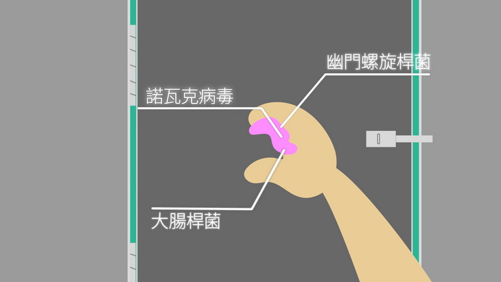 手上很多細菌與病毒