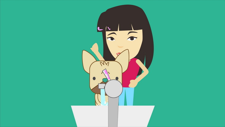 喵喵狗洗手,美女仍在照鏡子,撥頭髮時髒東西也沾到頭髮上