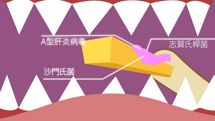 薯條和細菌病毒一起進入了喵喵狗的嘴巴裡